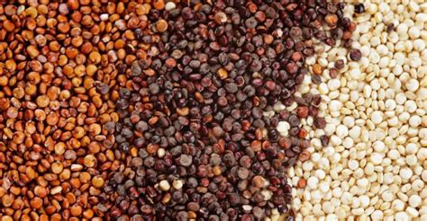  Quinoa: Una Proteina Vegetale Miracolosa per la Produzione di Alimenti Funzionali e Integratori!